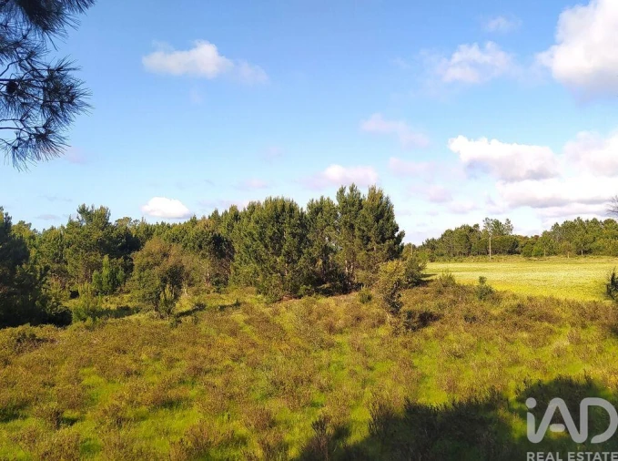 Terreno para Venda em Rogil Foto 22