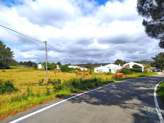 Terreno para Venda em Rogil Foto 6