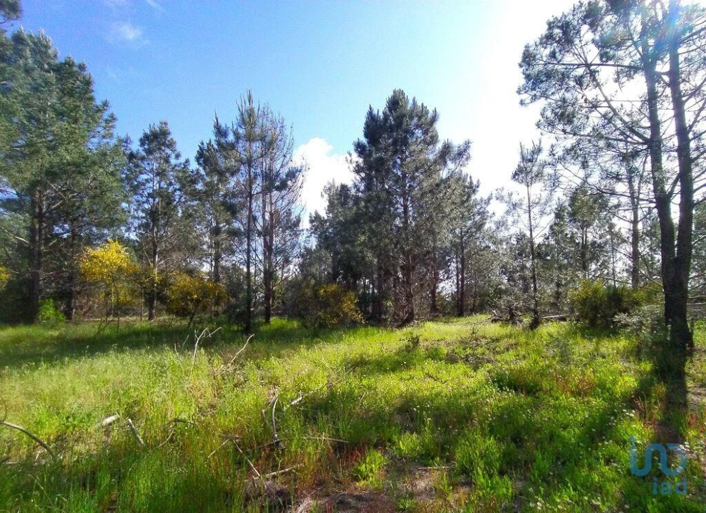 Terreno para Venda em Rogil Foto 3