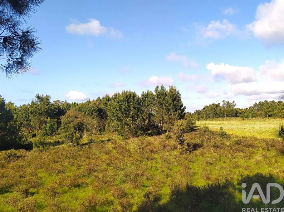 Terreno para Venda em Rogil Foto 22