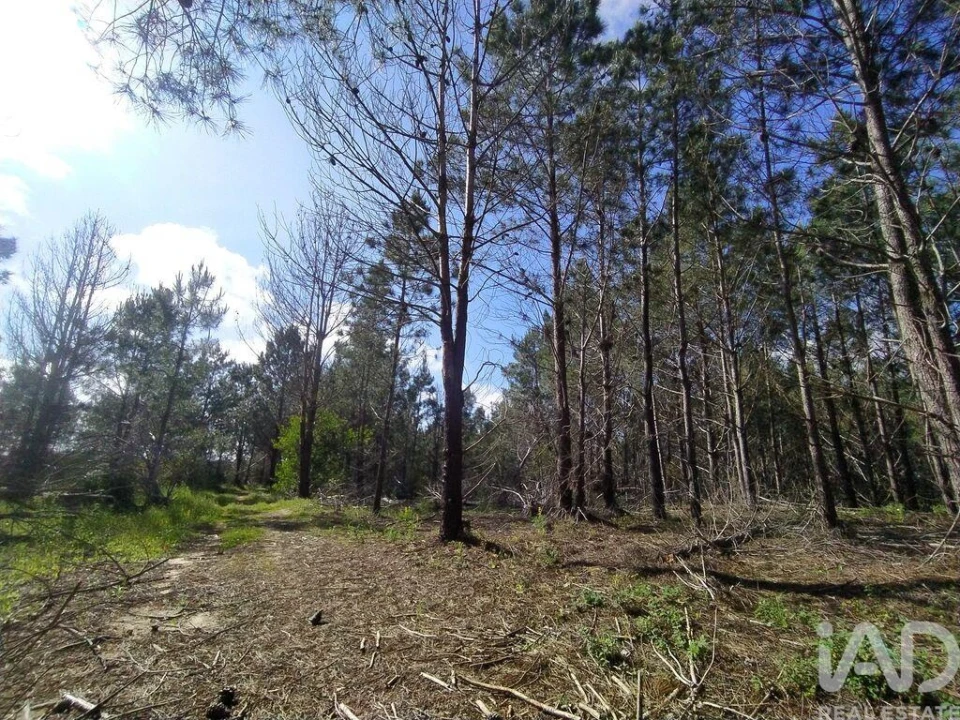 Terreno para Venda em Rogil Foto 23