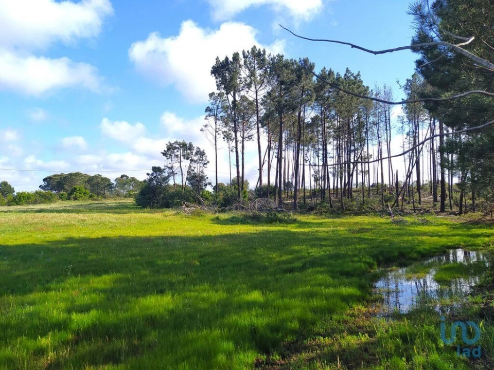 Terreno para Venda em Rogil Foto 4