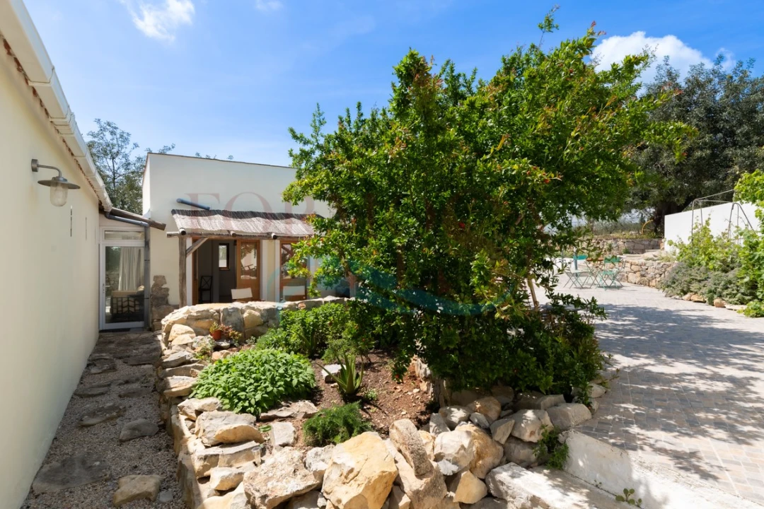 Moradia T4 para Venda em São Brás de Alportel Foto 9