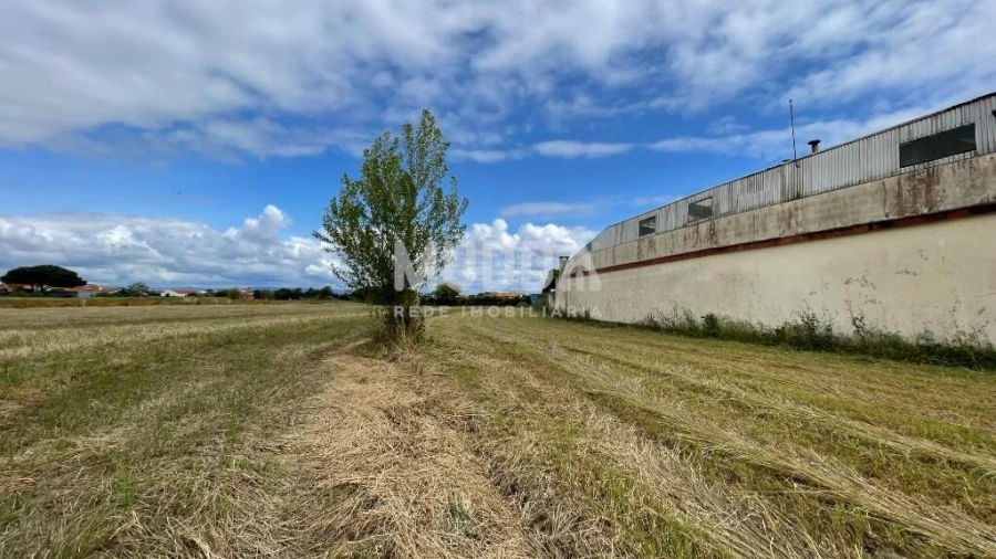 Terreno para Venda em Bunheiro Foto 3