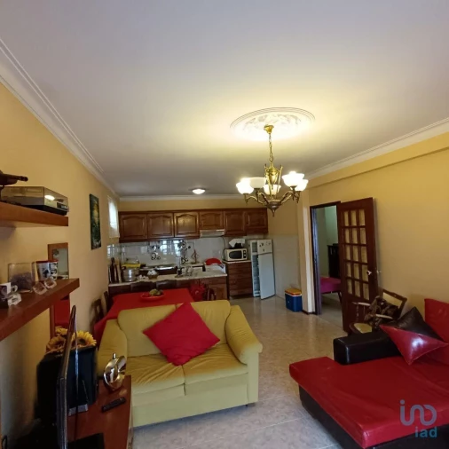 Apartamento T1 para Venda em Vila Praia de Ancora Foto 5