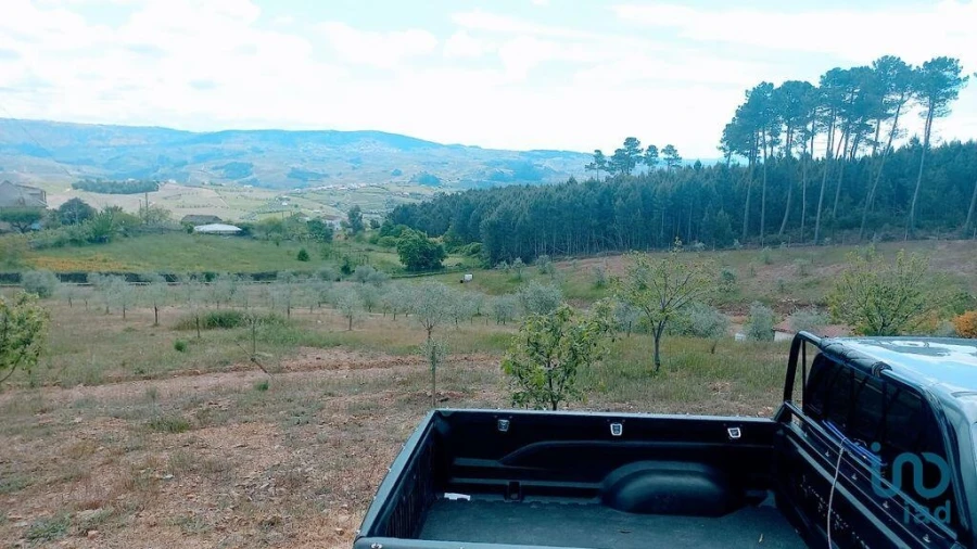 Terreno para Venda em São Lourenço de Ribapinhão Foto 6