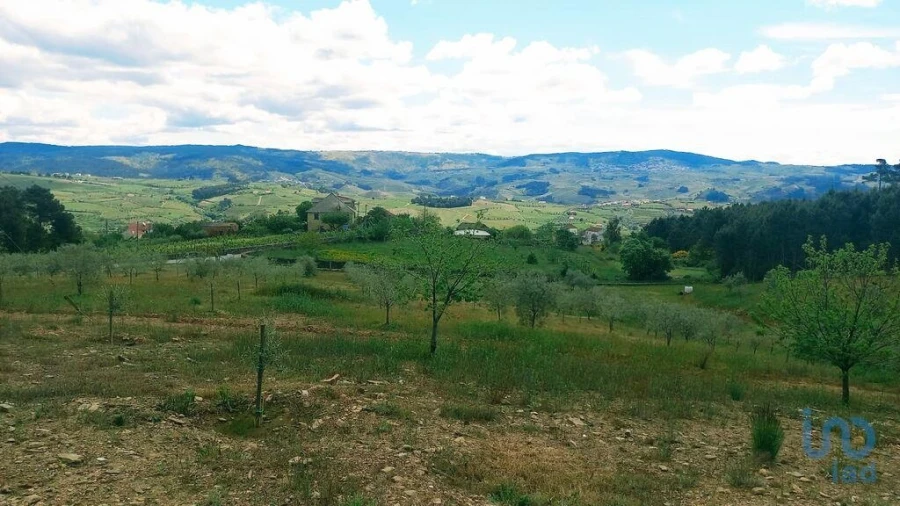 Terreno para Venda em São Lourenço de Ribapinhão Foto 10