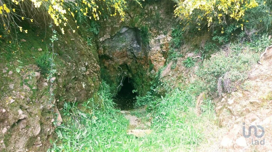 Terreno para Venda em São Lourenço de Ribapinhão Foto 3
