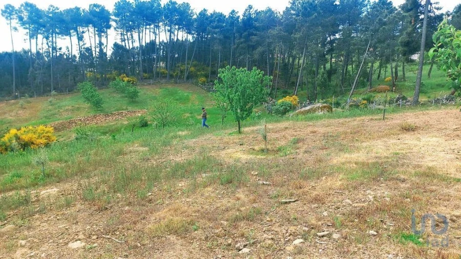 Terreno para Venda em São Lourenço de Ribapinhão Foto 4