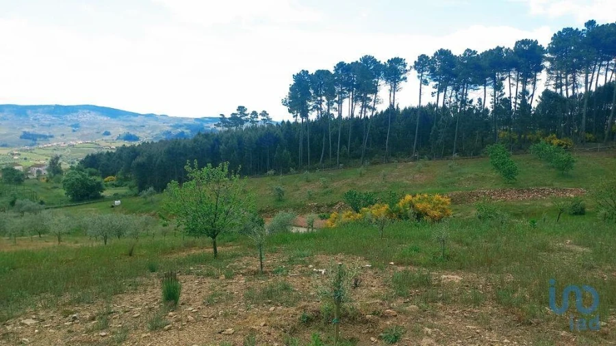 Terreno para Venda em São Lourenço de Ribapinhão Foto 8