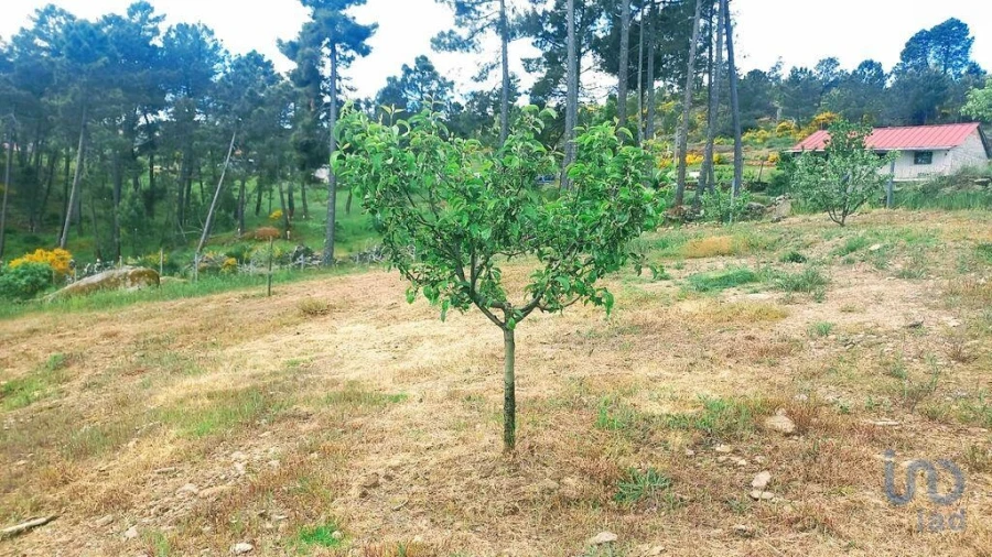 Terreno para Venda em São Lourenço de Ribapinhão Foto 1