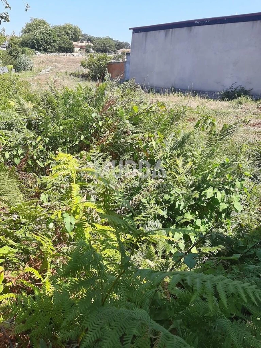 Terreno para Venda em Arcozelo Foto 11