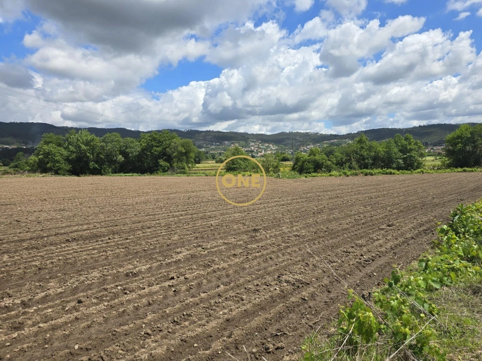 Terreno para Venda em Lamelas e Guimarei Foto 4