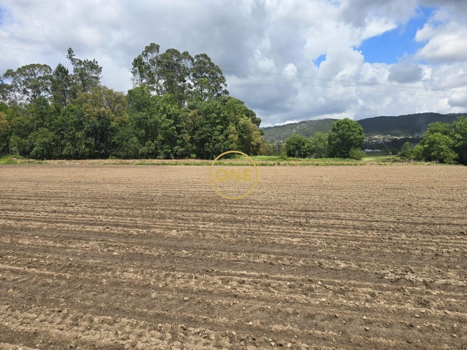 Terreno para Venda em Lamelas e Guimarei Foto 3