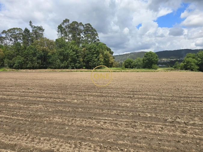 Terreno para Venda em Lamelas e Guimarei Foto 3