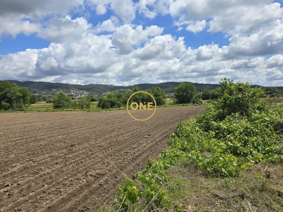 Terreno para Venda em Lamelas e Guimarei Foto 2