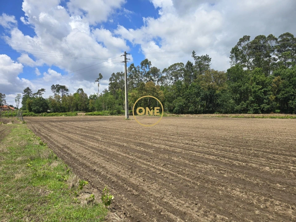 Terreno para Venda em Lamelas e Guimarei Foto 1