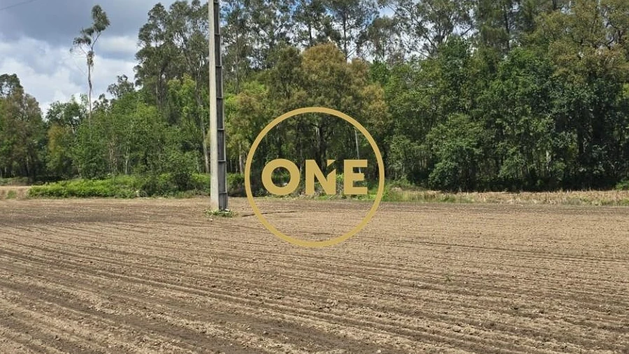 Terreno para Venda em Lamelas e Guimarei