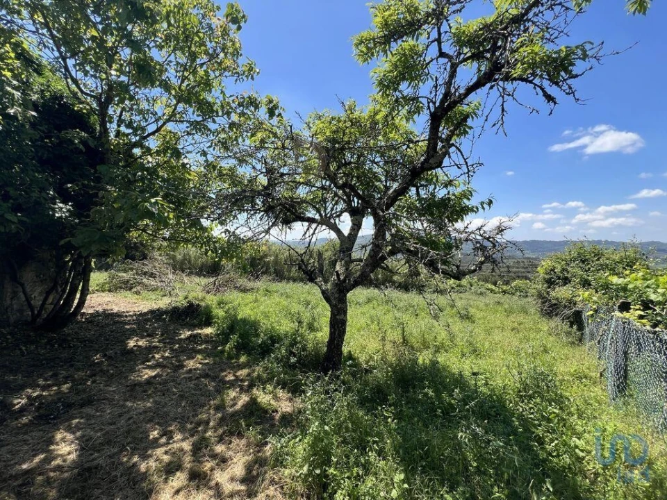 Moradia para Venda em São Miguel, Santa Eufémia e Rabaçal Foto 14