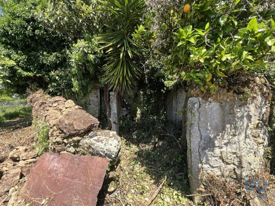 Moradia para Venda em São Miguel, Santa Eufémia e Rabaçal Foto 6