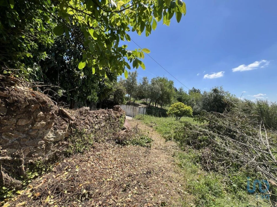 Moradia para Venda em São Miguel, Santa Eufémia e Rabaçal Foto 12