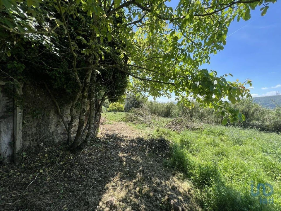 Moradia para Venda em São Miguel, Santa Eufémia e Rabaçal Foto 1