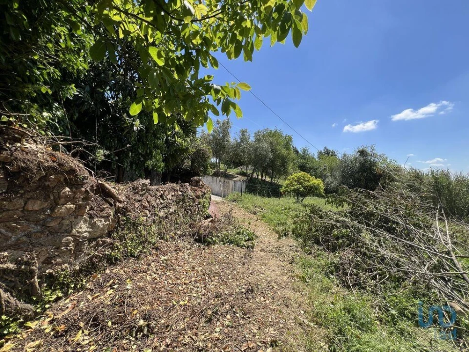 Moradia para Venda em São Miguel, Santa Eufémia e Rabaçal Foto 9