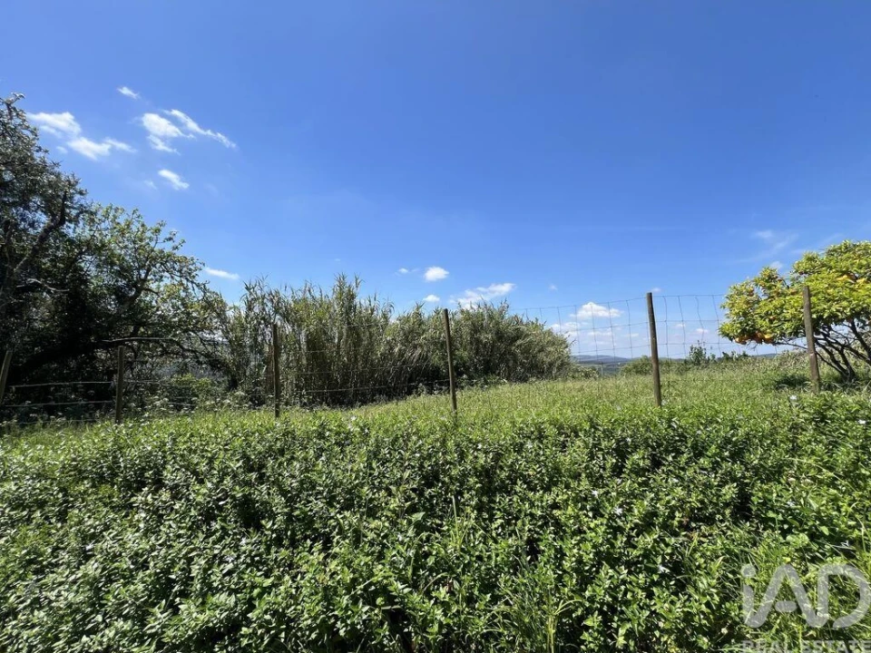 Moradia para Venda em São Miguel, Santa Eufémia e Rabaçal Foto 23