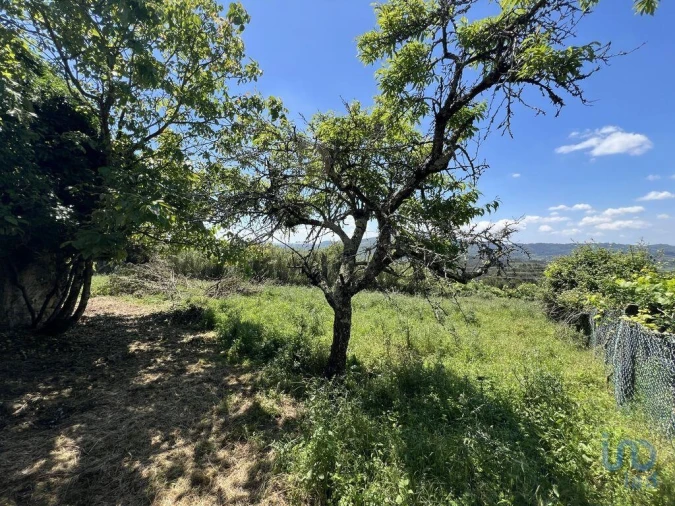 Moradia para Venda em São Miguel, Santa Eufémia e Rabaçal Foto 14