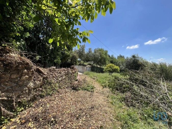 Moradia para Venda em São Miguel, Santa Eufémia e Rabaçal Foto 12