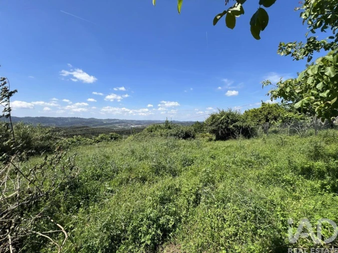 Moradia para Venda em São Miguel, Santa Eufémia e Rabaçal Foto 27