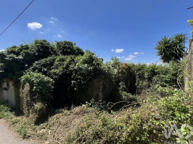 Moradia para Venda em São Miguel, Santa Eufémia e Rabaçal Foto 21