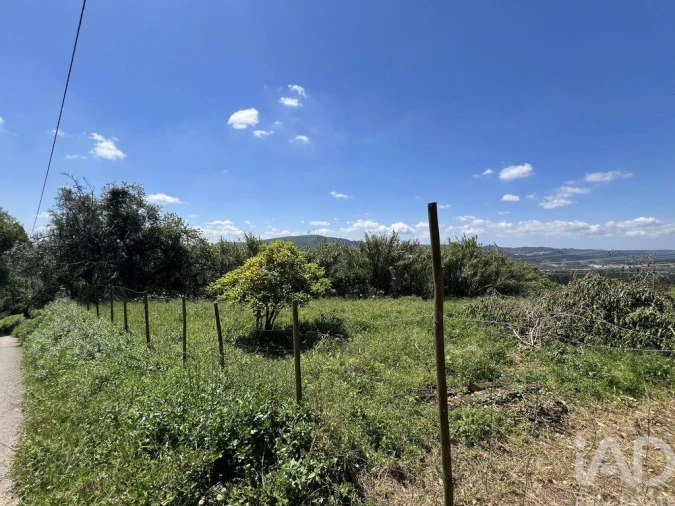 Moradia para Venda em São Miguel, Santa Eufémia e Rabaçal Foto 19