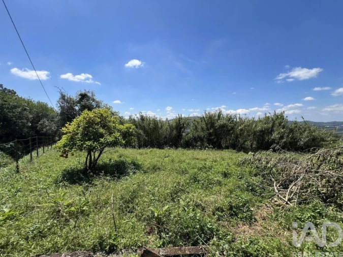 Moradia para Venda em São Miguel, Santa Eufémia e Rabaçal Foto 25