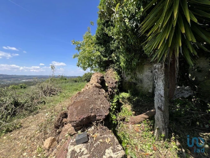 Moradia para Venda em São Miguel, Santa Eufémia e Rabaçal Foto 7