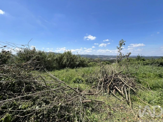 Moradia para Venda em São Miguel, Santa Eufémia e Rabaçal Foto 26