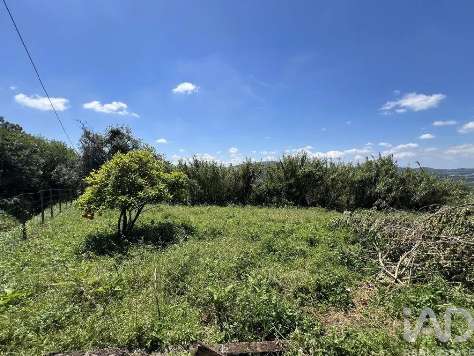 Moradia para Venda em São Miguel, Santa Eufémia e Rabaçal Foto 25