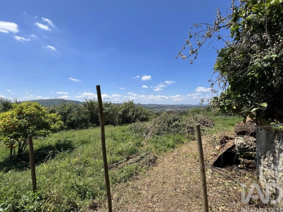 Moradia para Venda em São Miguel, Santa Eufémia e Rabaçal Foto 18