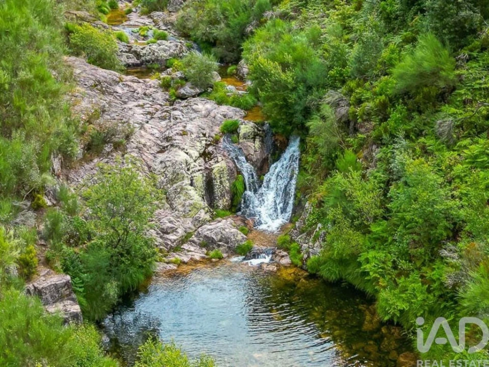 Moradia para Venda em Lindoso Foto 22