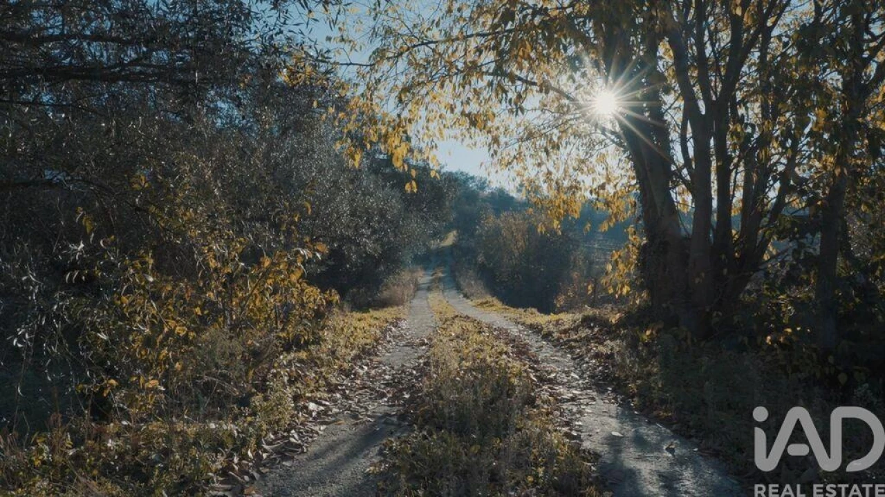 Moradia T15 para Venda em Cambres Foto 22