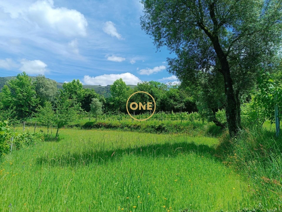 Terreno para Venda em Souto Foto 2