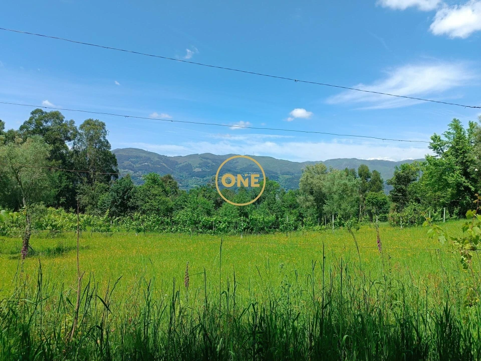 Terreno para Venda em Souto Foto 1