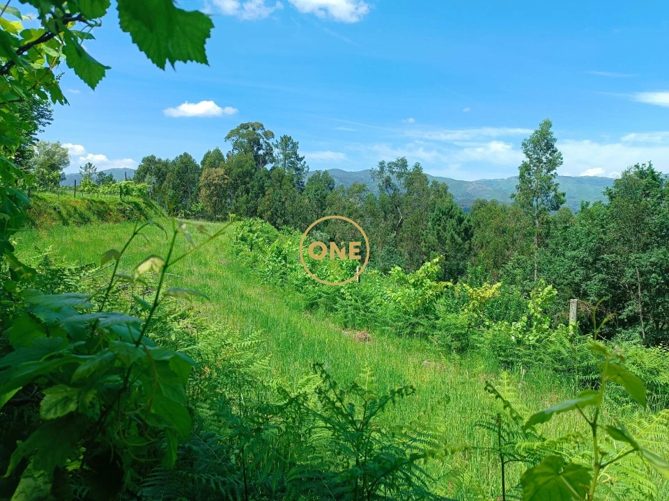 Terreno para Venda em Souto Foto 5