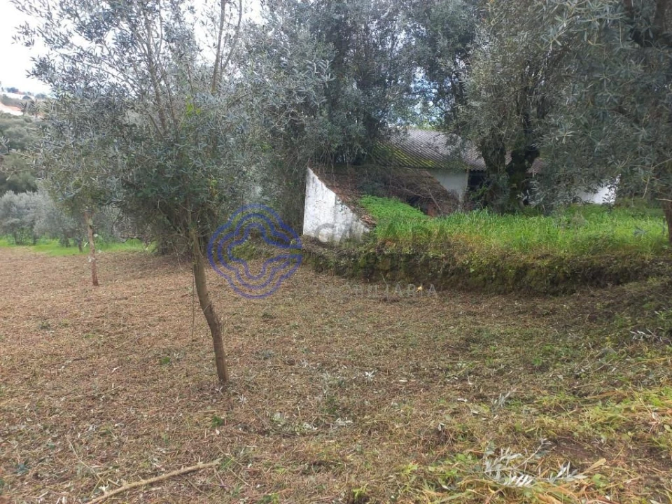 Terreno para Venda em Igreja Nova do Sobral Foto 6