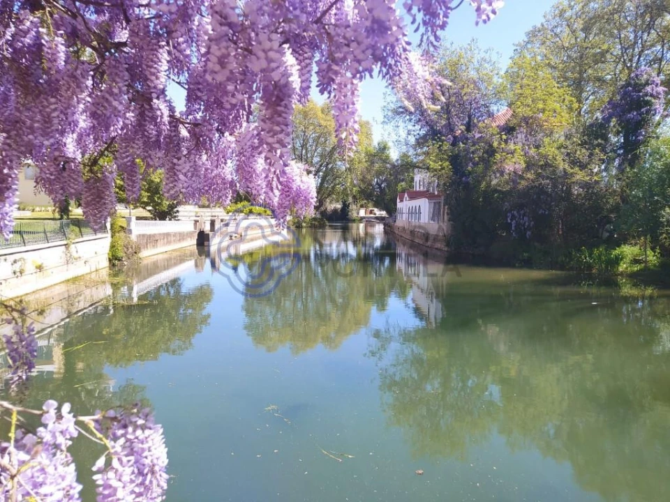 Terreno para Venda em Igreja Nova do Sobral Foto 16