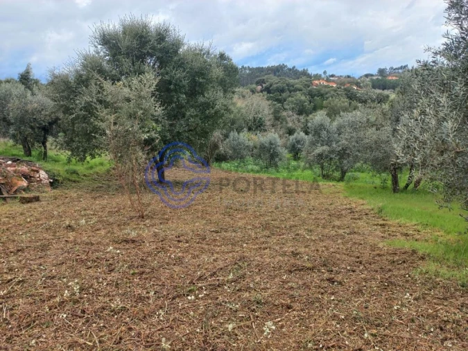 Terreno para Venda em Igreja Nova do Sobral