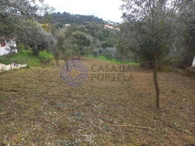 Terreno para Venda em Igreja Nova do Sobral Foto 7