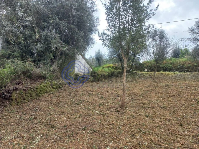 Terreno para Venda em Igreja Nova do Sobral Foto 5