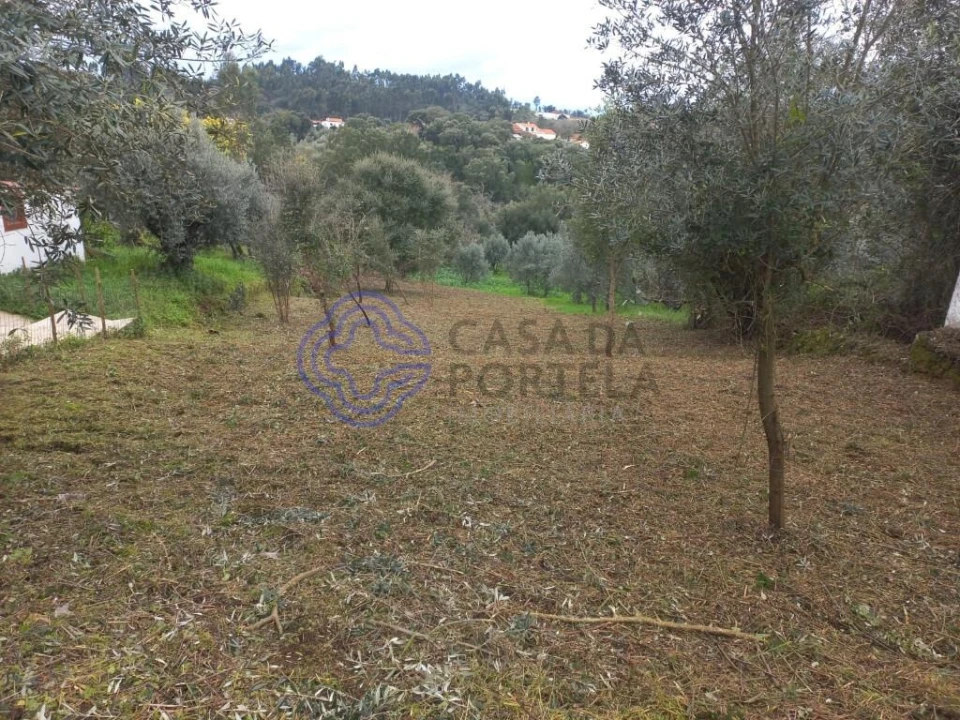 Terreno para Venda em Igreja Nova do Sobral Foto 7