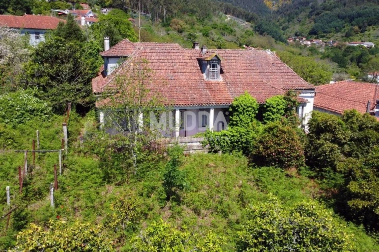 Quinta T10 para Venda em Campo de Besteiros Foto 16